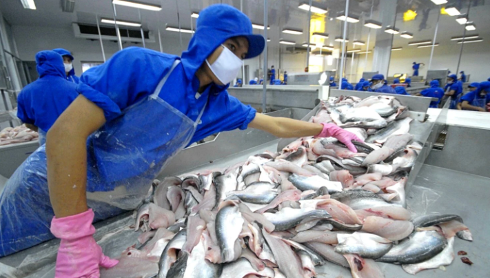 Thuỷ sản Vĩnh Hoàn (VHC) Thị trường nội địa bất ngờ trở thành trụ đỡ cho hoạt động kinh doanh