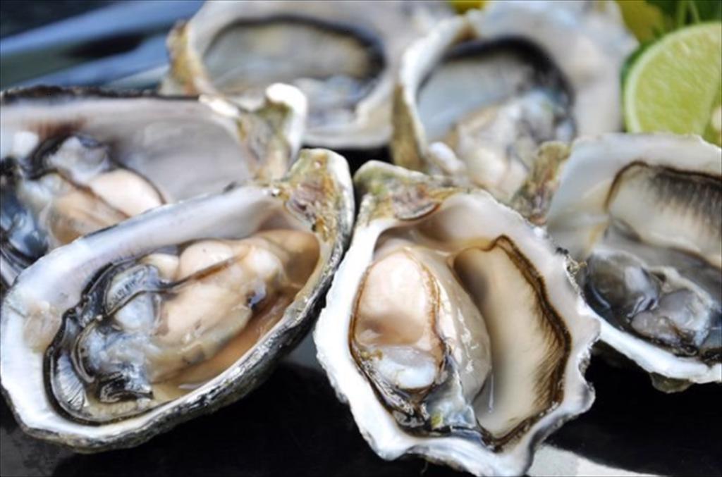 Hàu và hải sâm tăng cao với hơn 900% về lượng, hơn 2.000% về giá trị