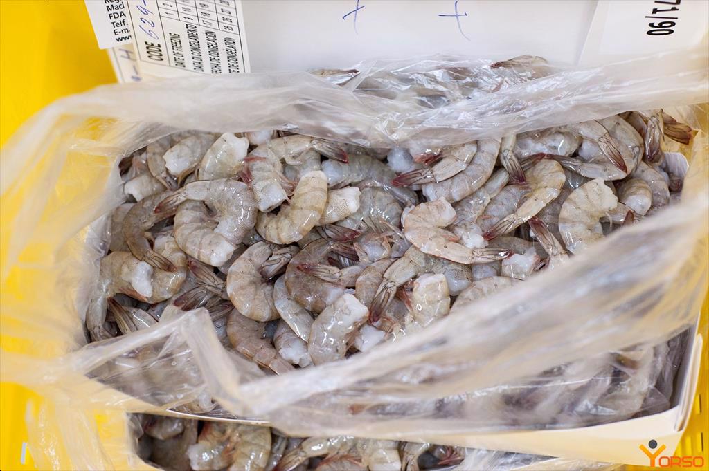 Mỹ ngày càng phụ thuộc vào tôm nhập khẩu từ Ecuador 