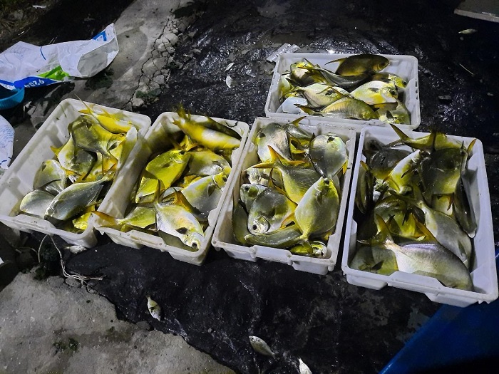 Thiếu thức ăn cho nuôi thủy sản trên biển, Việt Nam phải nhập khẩu hàng trăm ngàn tấn từ nước ngoài