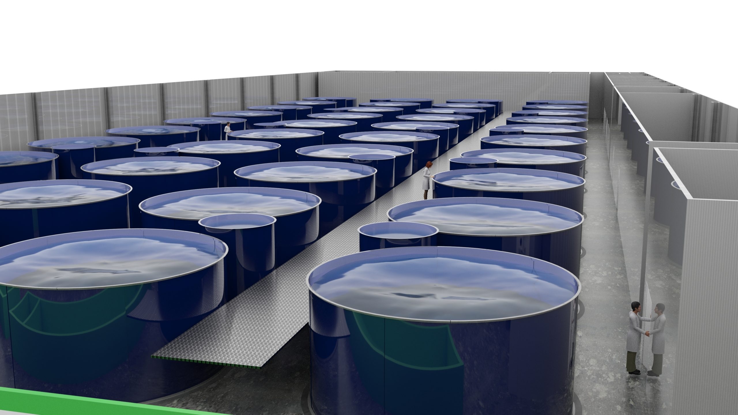 Các công ty thức ăn chăn nuôi mới có “con đường đầu tư dễ dàng hơn” so với RAS