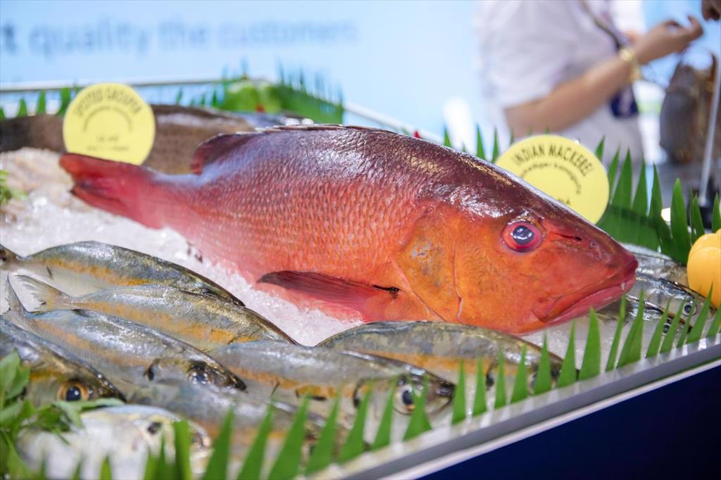 Infographic Xuất khẩu thủy sản Việt Nam 7 tháng đầu năm 2023