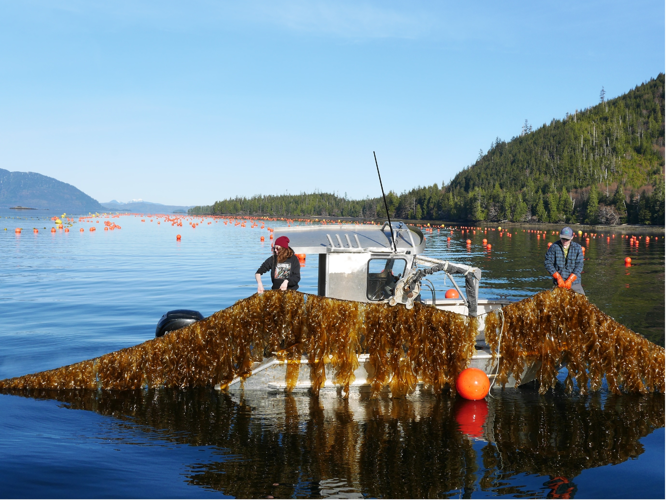 Bổ sung các điều khoản về thuỷ sản vào đạo luật nông trại của Mỹ