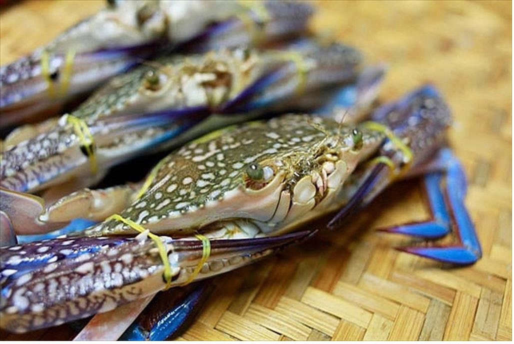 Nhập khẩu ghẹ của Mỹ giảm trong nửa đầu năm