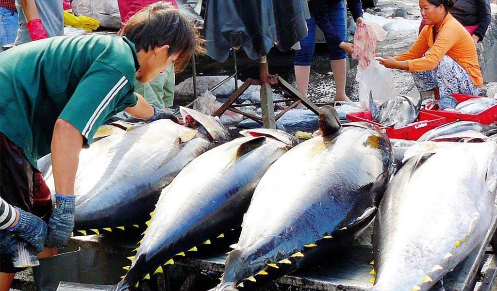 Việt Nam có nhiều cơ hội đẩy mạnh XK cá ngừ sang Anh