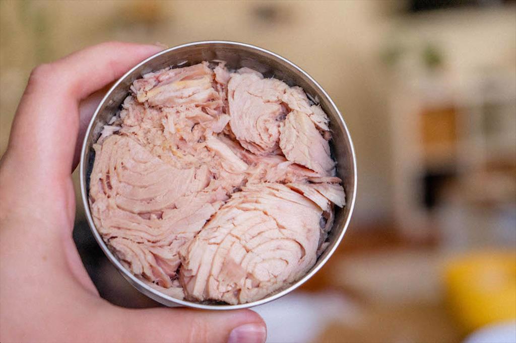 FDA xem xét sửa đổi tiêu chuẩn về đặc tính của cá ngừ đóng hộp  