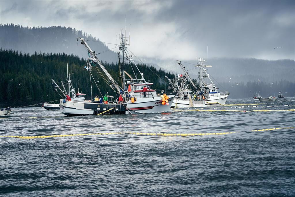 FIS ra mắt ý tưởng tàu đánh cá không lưới ở Anh