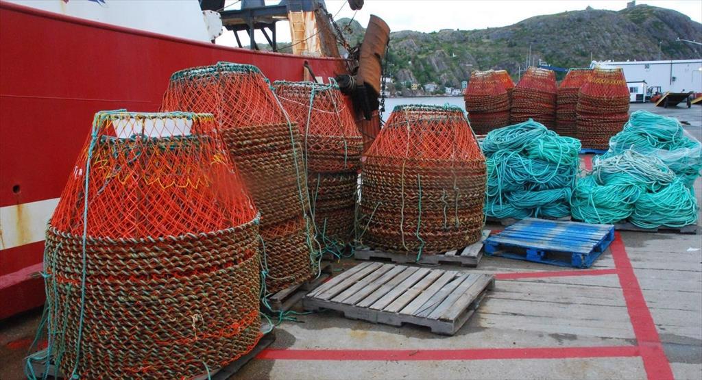 Mùa cua tuyết Newfoundland kết thúc với tỷ lệ đánh bắt 95%