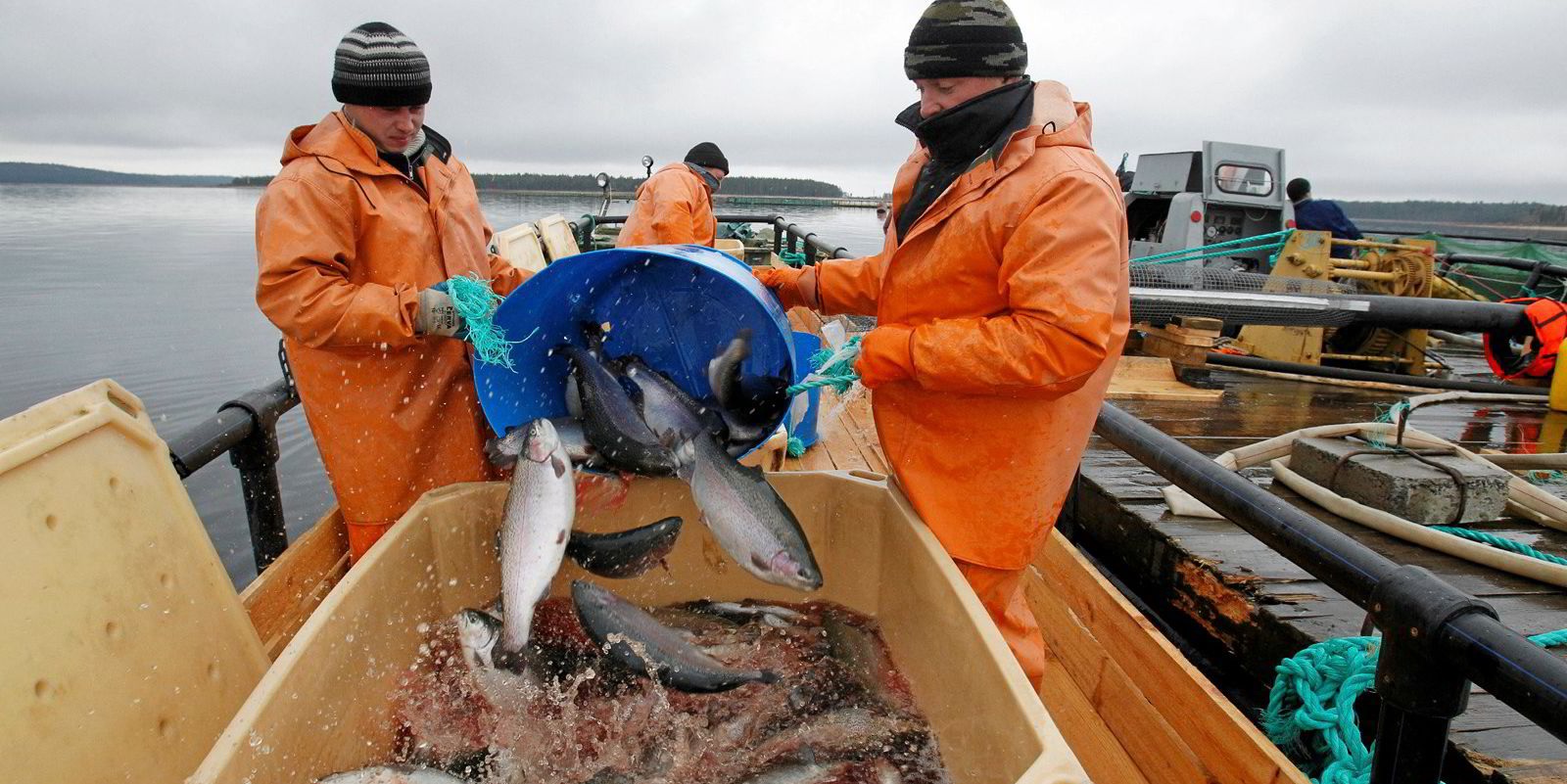NOAA giới thiệu hệ thống hạn ngạch cho tàu đánh cá tuyết Thái Bình Dương