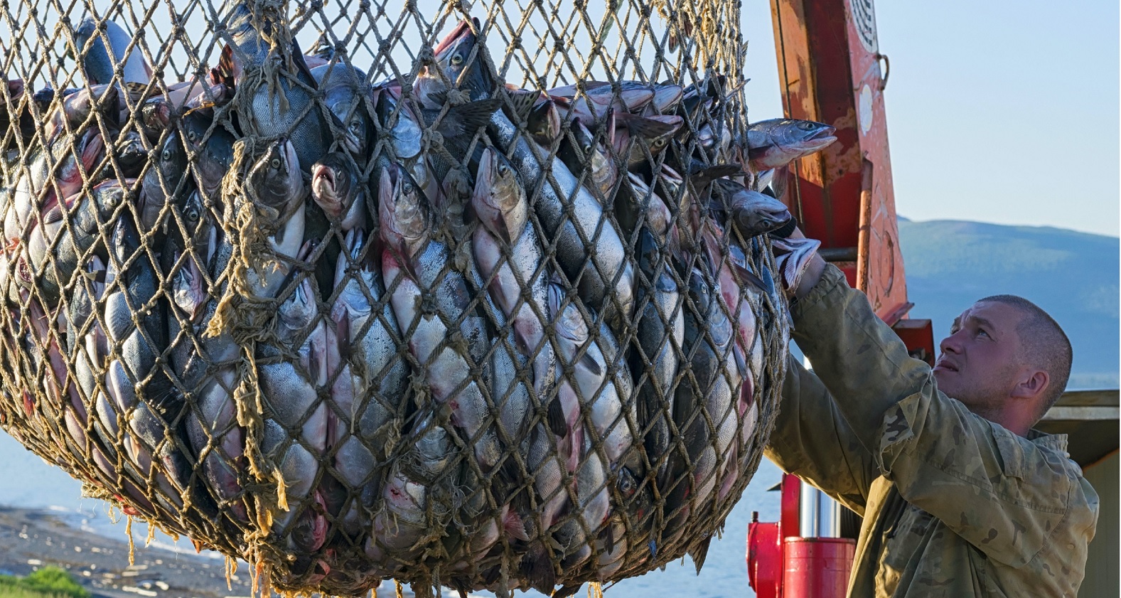 Nga Sản lượng đánh bắt đạt 3,6 triệu tấn, tăng 12% 