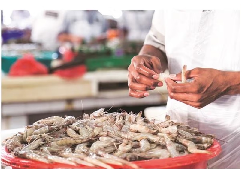 Mỹ duy trì thuế CBPG đối với hai nhà xuất khẩu tôm Ấn Độ