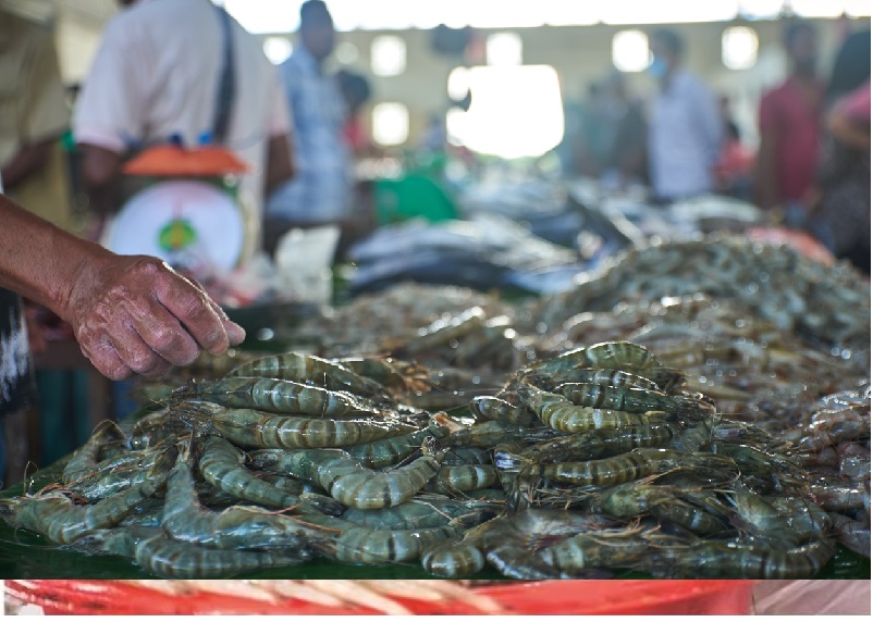 Quy định ký quỹ gây khó khăn cho ngành tôm Indonesia 