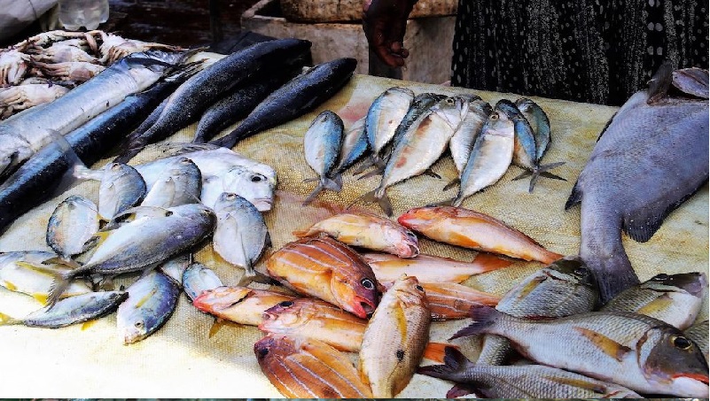 Đức hỗ trợ FiTI tăng cường minh bạch trong quản lý nghề cá toàn cầu