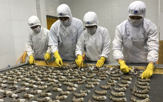 Xuất khẩu tôm sang Mỹ hai lần lập đỉnh trong 10 năm qua 