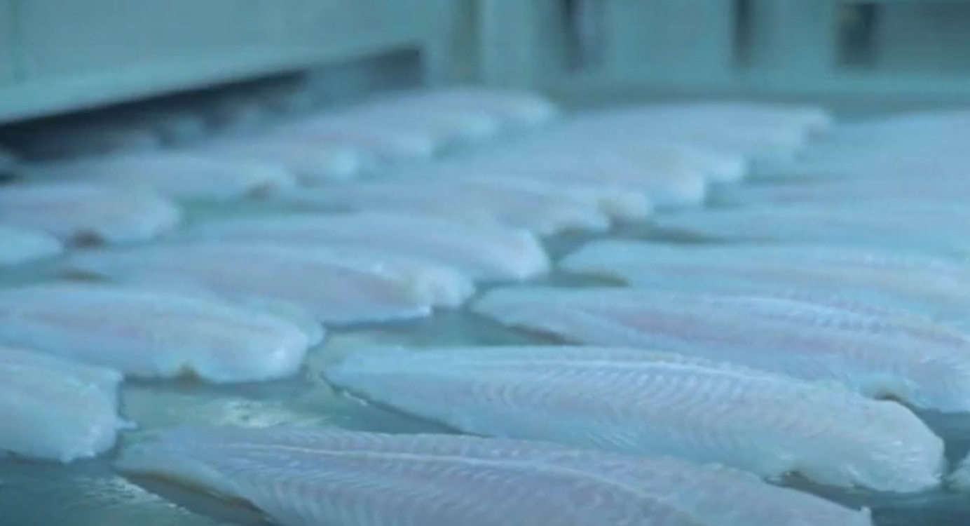 Pangasius exports to the US increased by 41% after 10 years