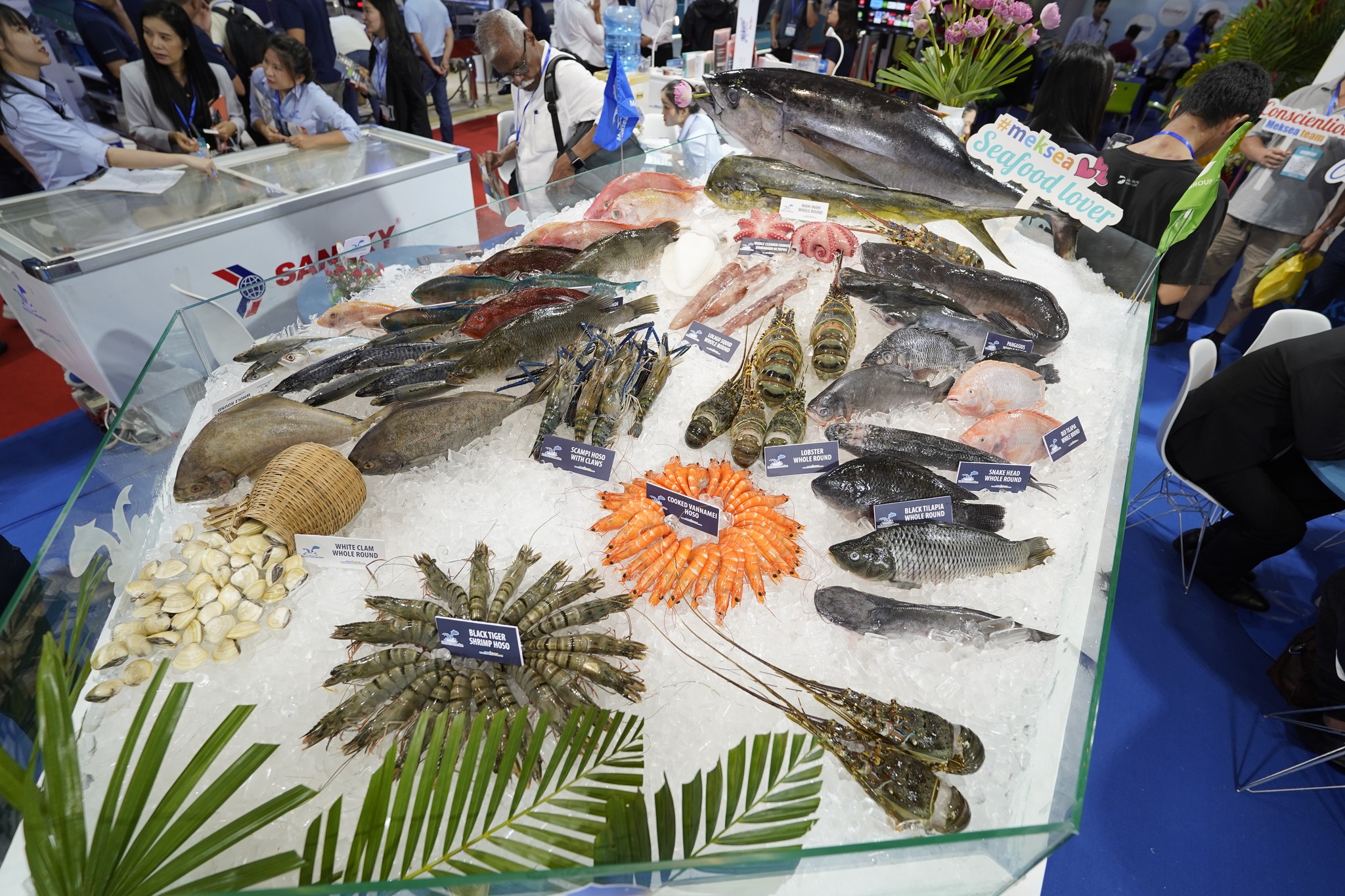 Con tôm con cá lắm những khúc quanh