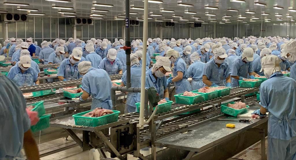 Infographic Xuất khẩu hải sản của Việt Nam 8 tháng đầu năm 2023