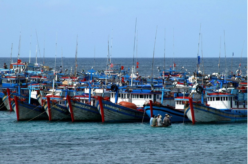 Quyết tâm xử lý dứt điểm vi phạm về khai thác hải sản bất hợp pháp 