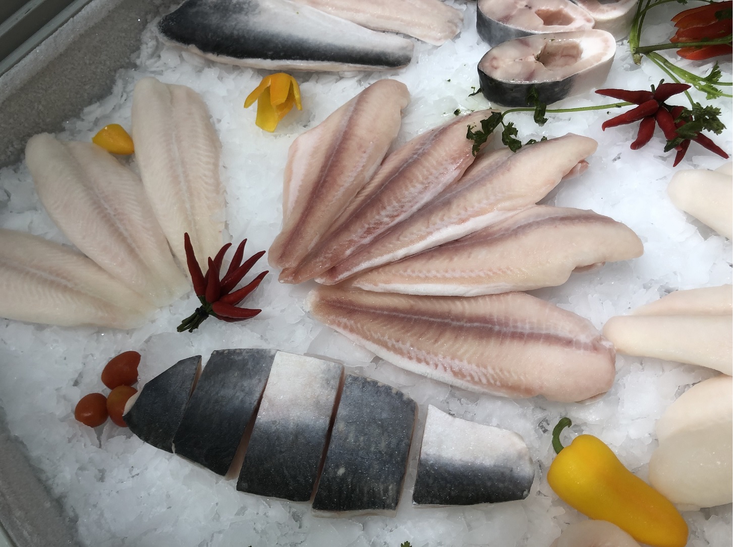  Vietnam’s pangasius export turnover is forecast to reach 1.7 billion USD in 2023