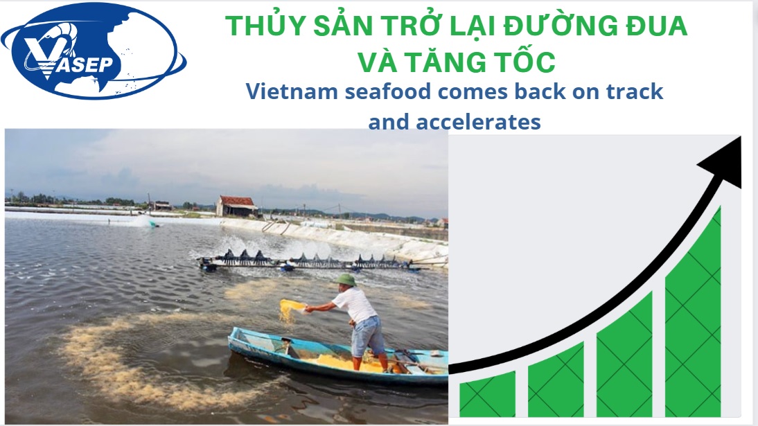 Xuất khẩu thủy sản trở lại đường đua và tăng tốc