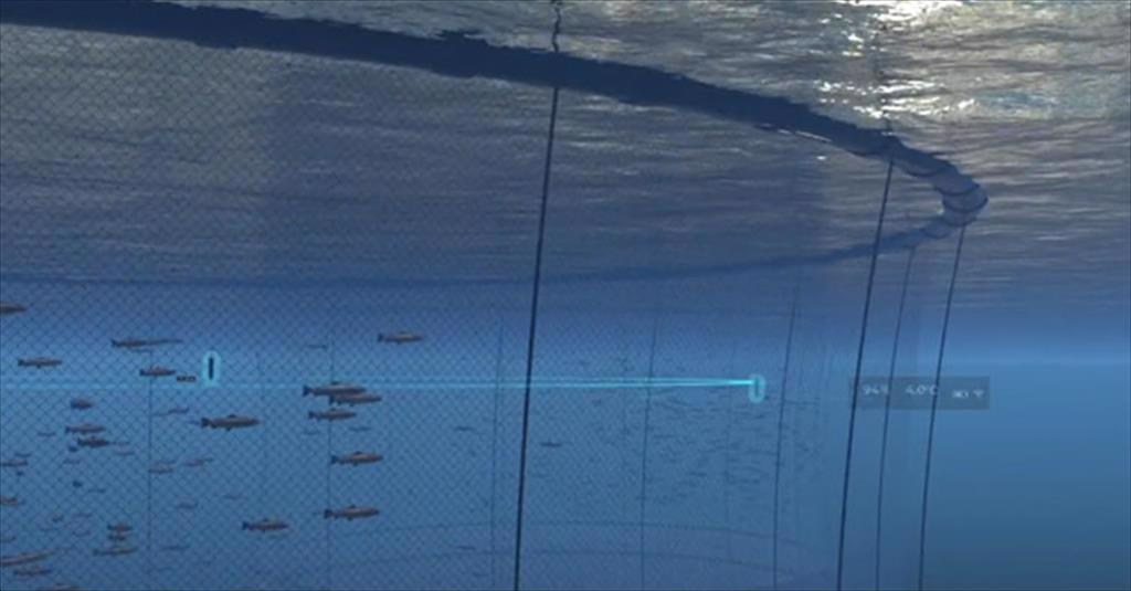 Namibia thiệt hại 1,5 tỷ N$ mỗi năm do đánh bắt trái phép