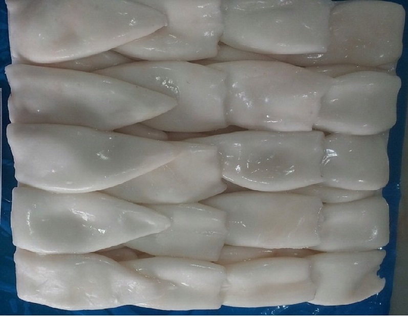 Xuất khẩu mực đông lạnh của Peru tăng mạnh