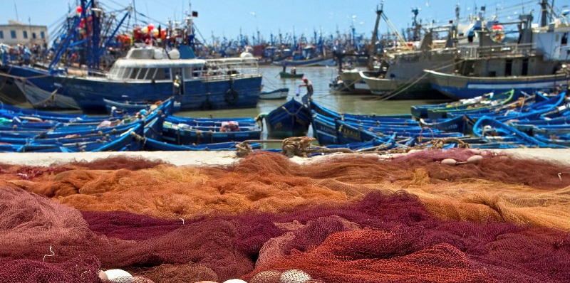 Tây Ban Nha Vai trò quan trọng của Galicia trong chống khai thác IUU