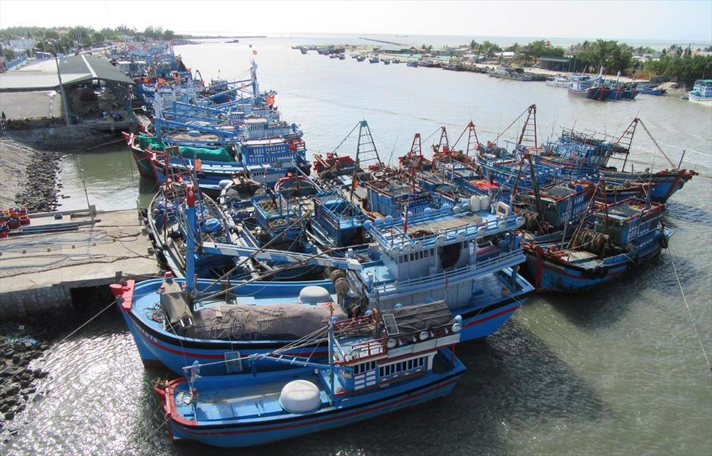 Support Vietnam to become a world model in sustainable development of the fisheries industry