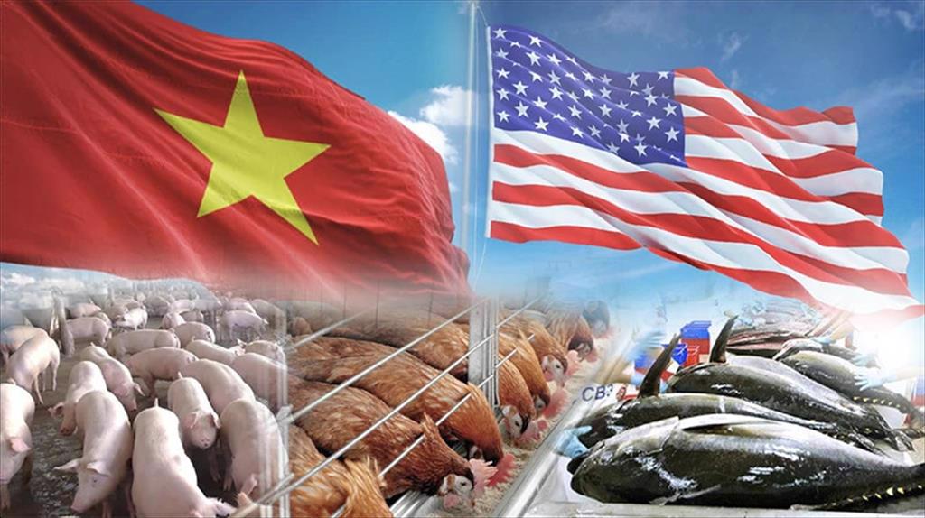 Cơ hội cho ngành chăn nuôi Việt Nam sau chuyến thăm của Tổng thống Mỹ