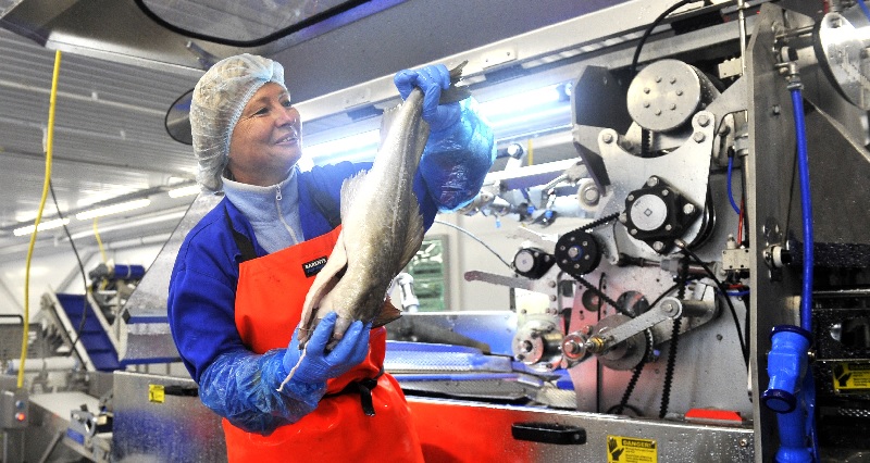 EU đề xuất loại cá Nga khỏi hệ thống nhập khẩu ATQ