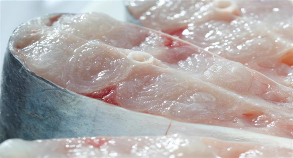 Germany ranked 2nd in importing Vietnamese pangasius in the EU