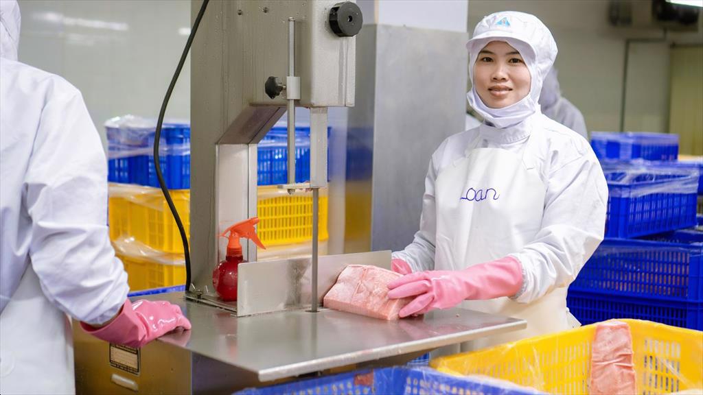 Xuất khẩu cá ngừ sang Nhật Bản chưa thể bứt phá