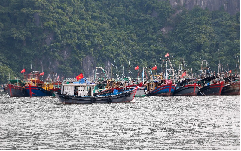 Công điện của Thủ tướng Chính phủ về việc chuẩn bị đón và làm việc với Đoàn Thanh tra EC lần thứ 4 