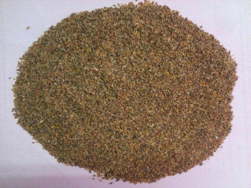 Xuất khẩu bột cá của Morocco tăng mạnh