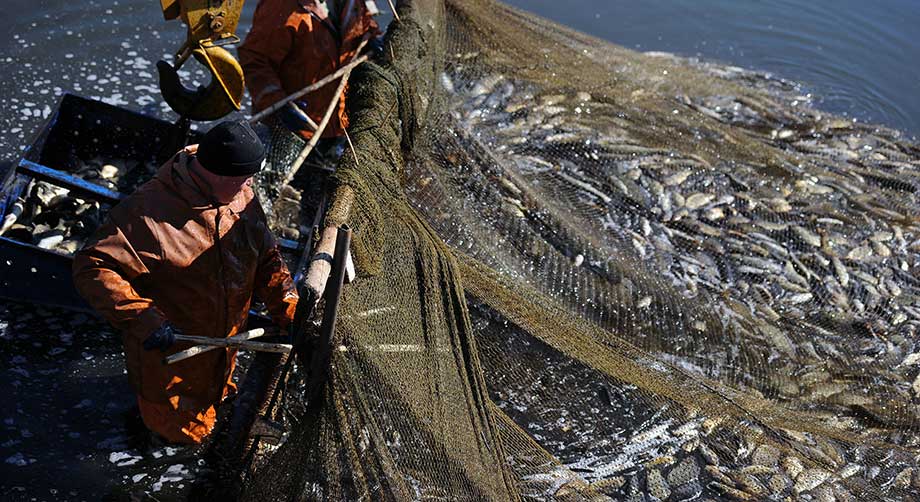 EU giơ Thẻ đỏ IUU với Cộng hòa Trinidad và Tobago 