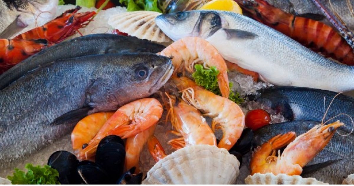 Nga tăng cường xuất khẩu hải sản khai thác