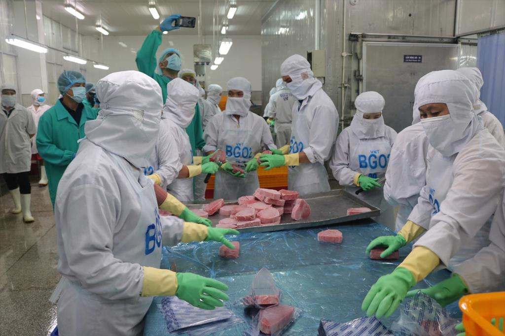 Tuna exports to Spain hit bottom