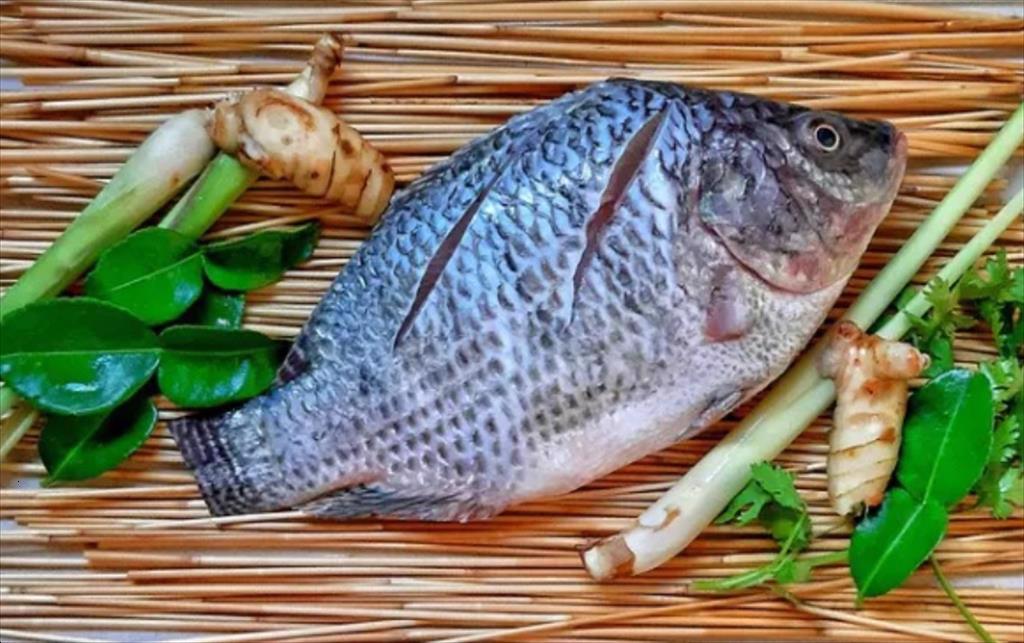 Cá rô phi ngày càng đắt đỏ trên thị trường thế giới 