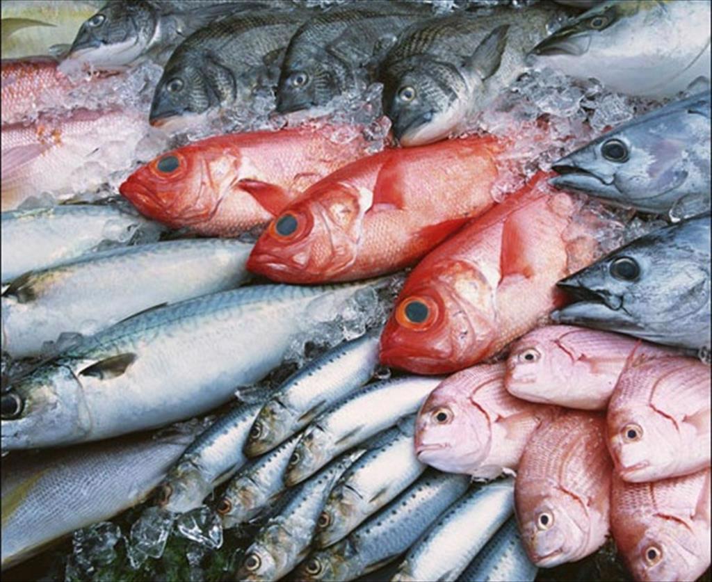 Infographic Xuất khẩu hải sản của Việt Nam 9 tháng đầu năm 2023