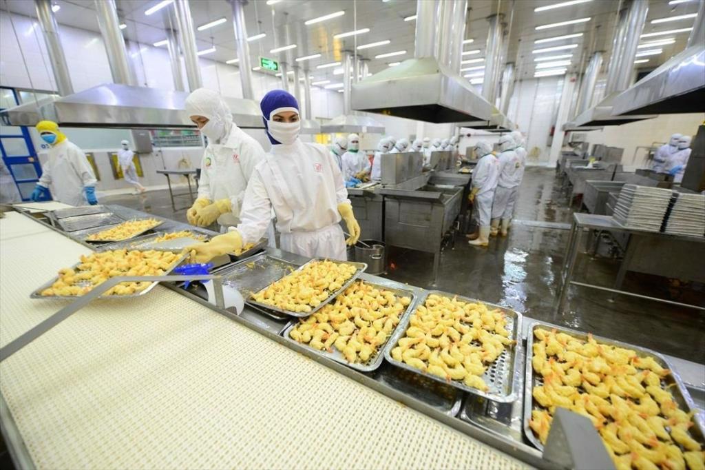 Xuất khẩu thủy sản Việt Nam giảm chậm nhưng chưa thể vực dậy hoàn toàn