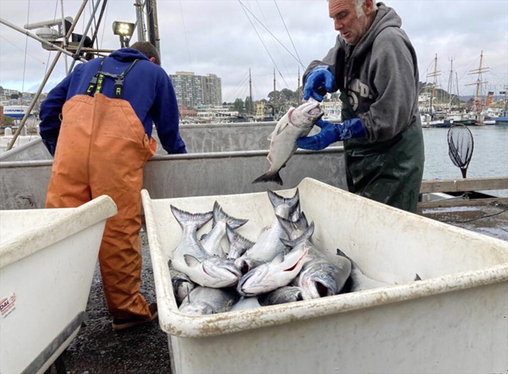 Vùng Viễn Đông Nga đặt mục tiêu tăng xuất khẩu thủy sản sang Trung Quốc