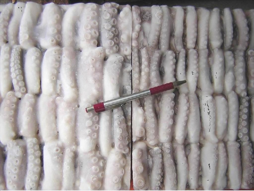 Nhập khẩu mực ống poulp đông lạnh của Hàn Quốc tăng 7%