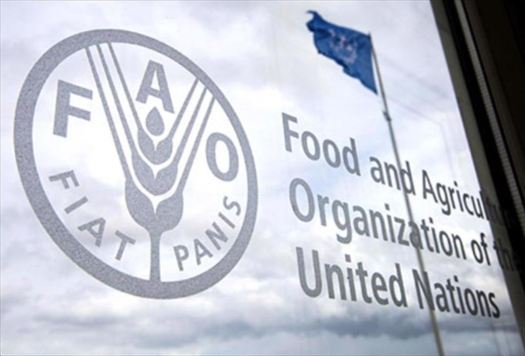 Thủy sản Mỹ Latinh tiếp tục chịu tác động của biến đổi khí hậu