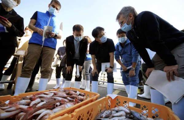 IAEA khảo sát thủy sản ở Fukushima