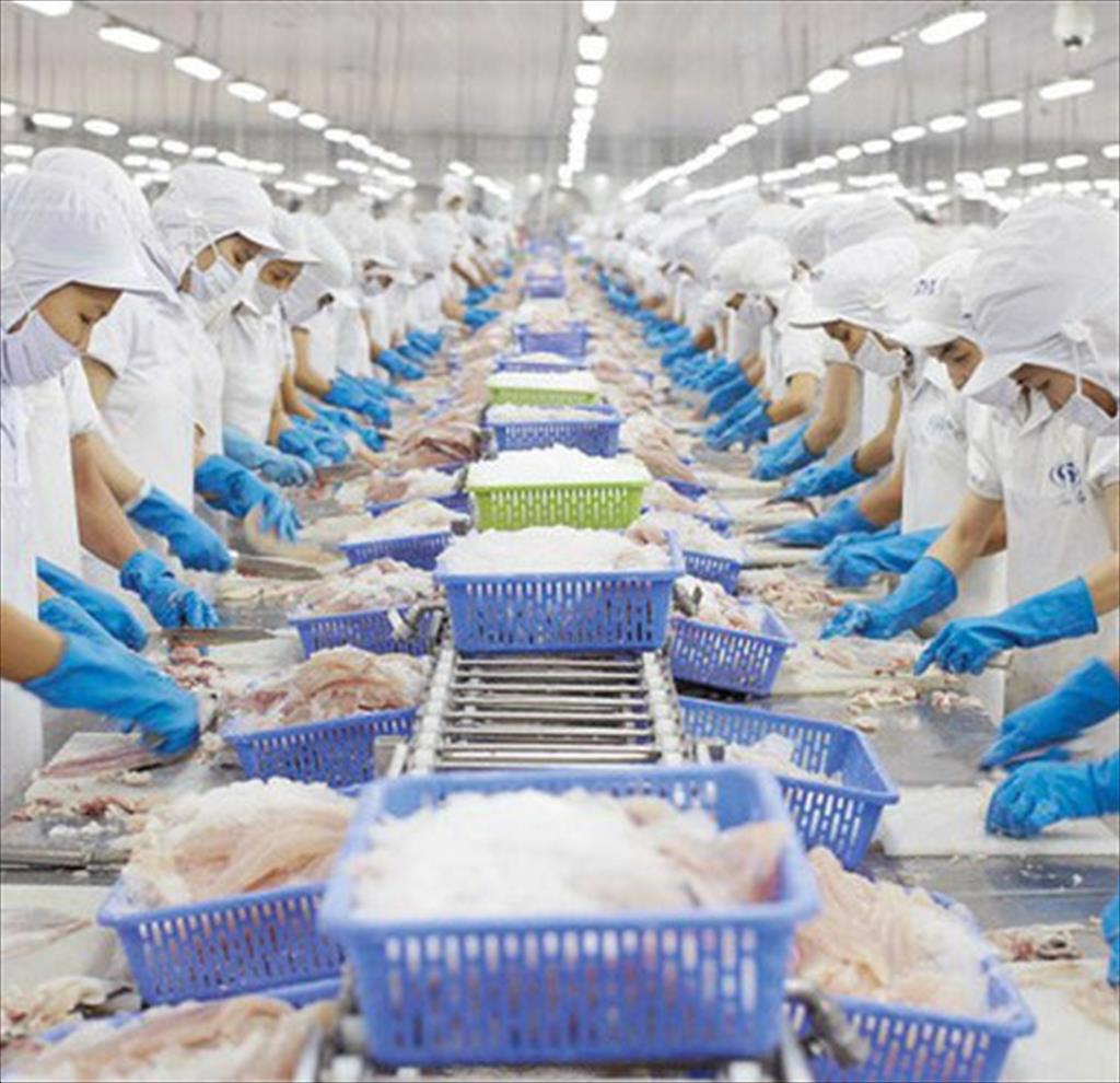 Vinh Hoan promotes diversification of VAP’s products