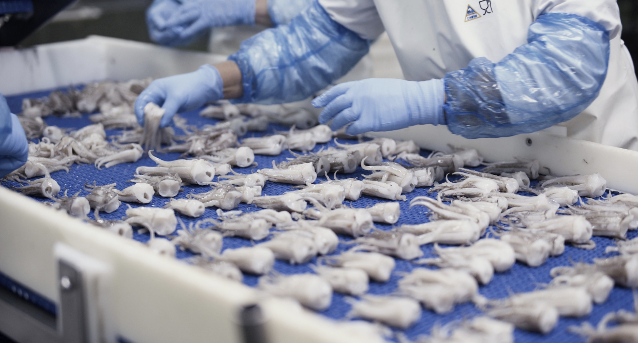 Các nhà chế biến EU mong muốn tiếp tục nhập khẩu thủy sản Nga