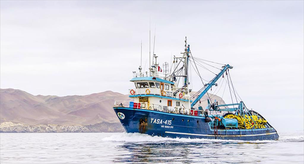 Xuất khẩu thủy sản Peru giảm mạnh