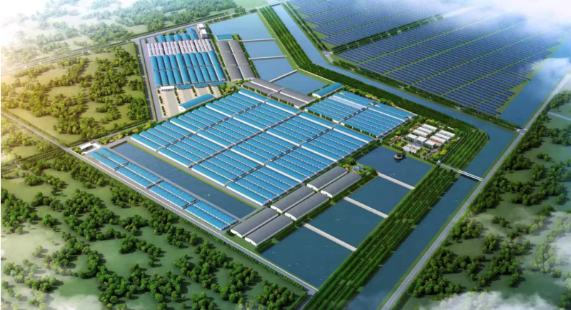 Haid Group (Trung Quốc) hướng tới thị trường Đông Nam Á và Châu Phi