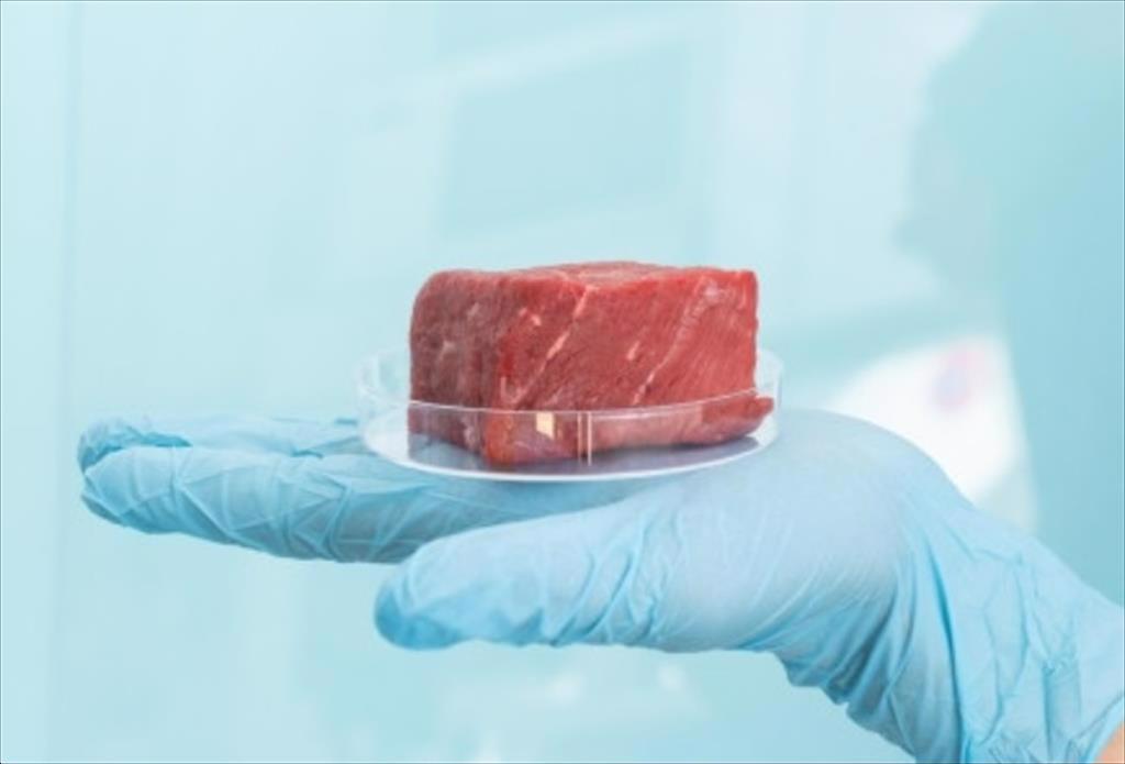 Italy có kế hoạch cấm các sản phẩm thực phẩm tổng hợp 