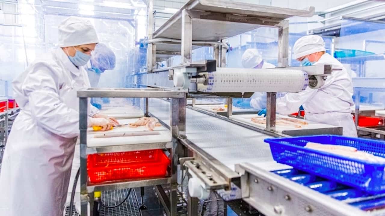 Nga chuyển hướng thị trường trước sự gia tăng sản lượng cá minh thái 